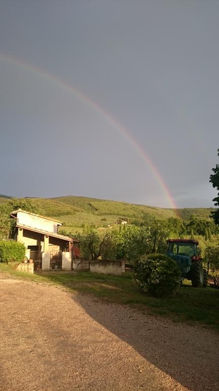 הוילה Baschi Borgo Buciardella מראה חיצוני תמונה